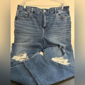 American Eagle Curvy Hi Rise Distressed Jeggings
